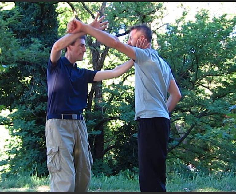 Taiji Small San Shou Partnerform zur Entwicklung explosiver Faszienkraft
