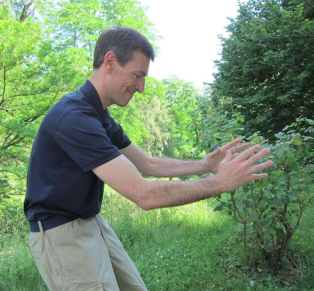 Weiches Qigong White Crane in Graz – Faszienübungen nach Tensegrity-Prinzipien