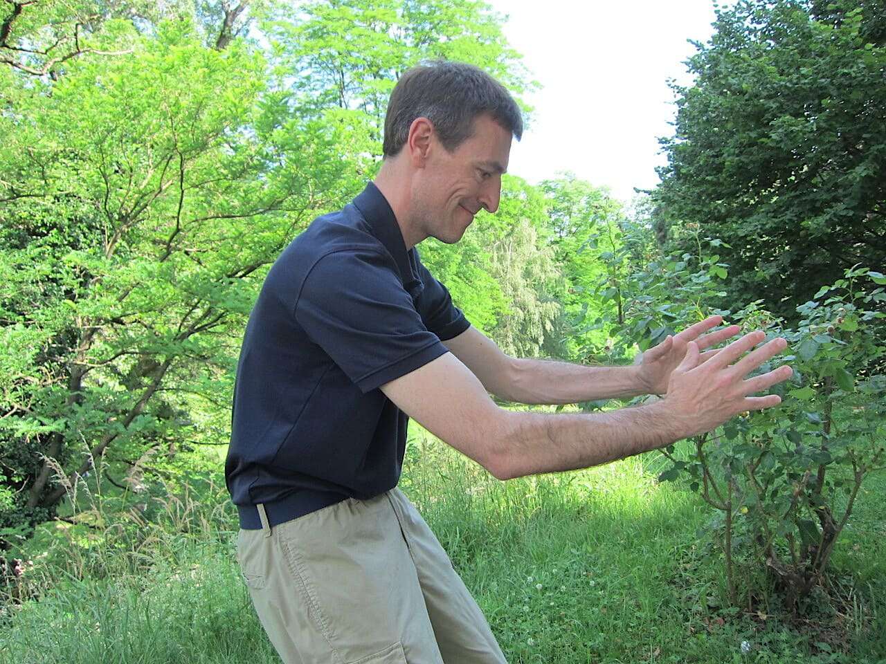 Weiches Qigong – White Crane