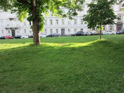 Trainingsplatz auf der Grünfläche